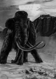 Encontrado otro mamut